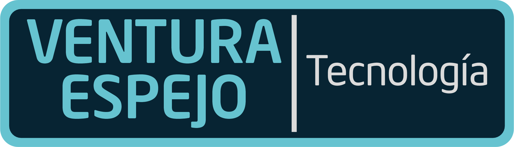 LOGO VE 2025 CON FONDO